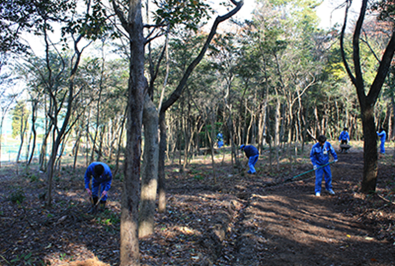 Parking lot to conserve satoyama