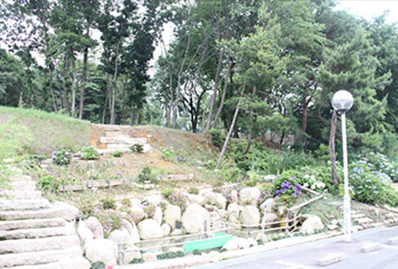 Parking lot to conserve satoyama